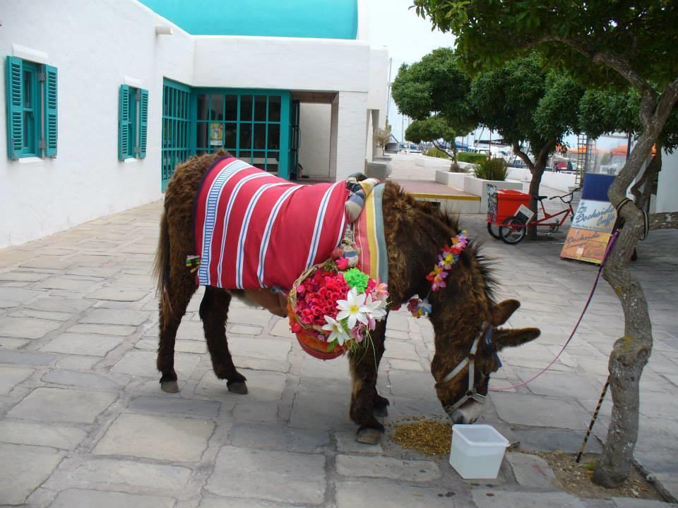 Mykonos Holidays @ Club Mykonos Langebaan Bagian luar foto